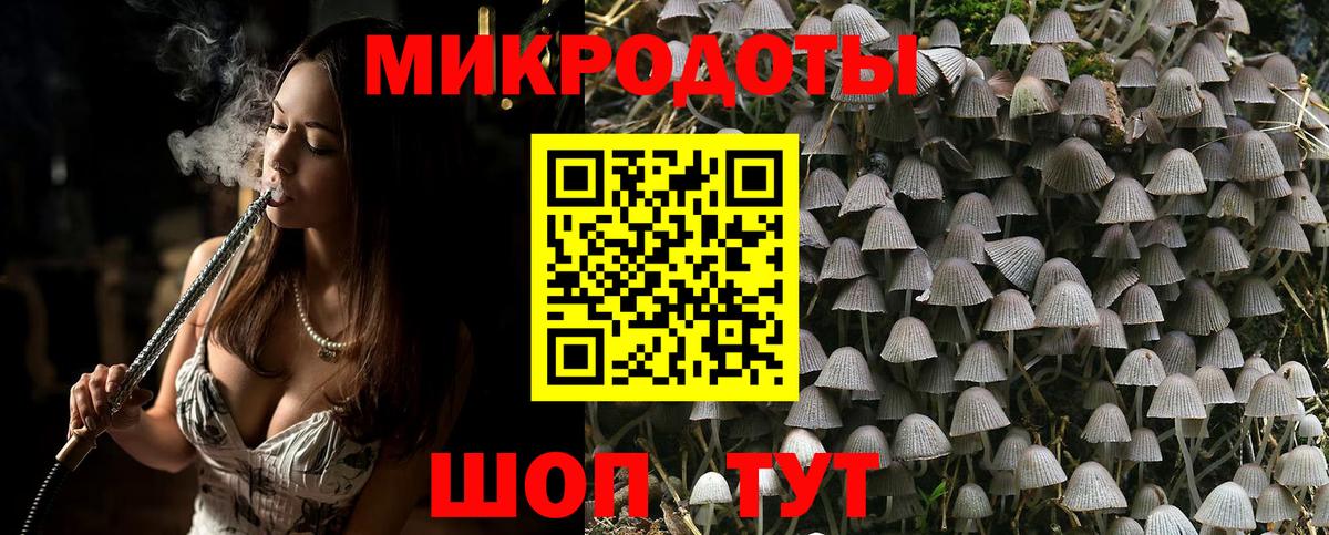 Псилоцибиновые грибы Psilocybe Бутурлиновка