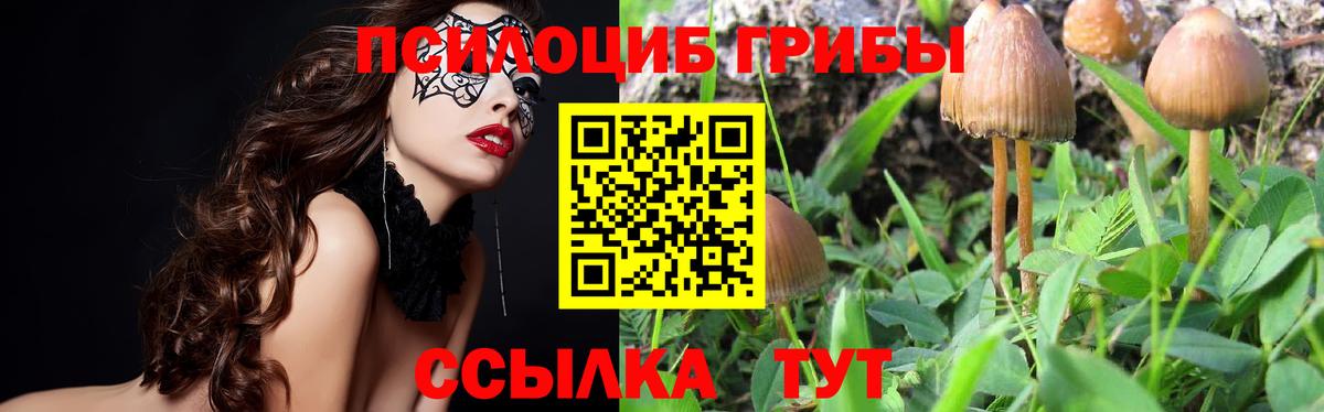 Галлюциногенные грибы Psilocybe  Вход с VPN  Бутурлиновка  Псилоцибиновые грибы Magic Shrooms 